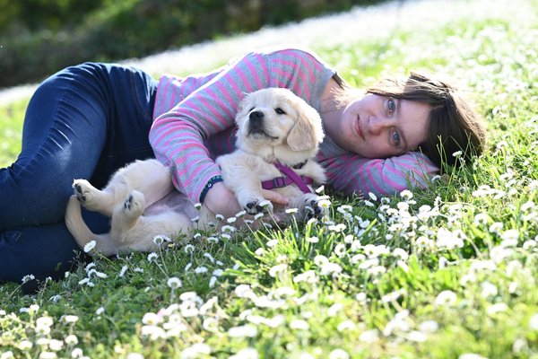 Où adopter un chiot : Refuges vs Éleveurs